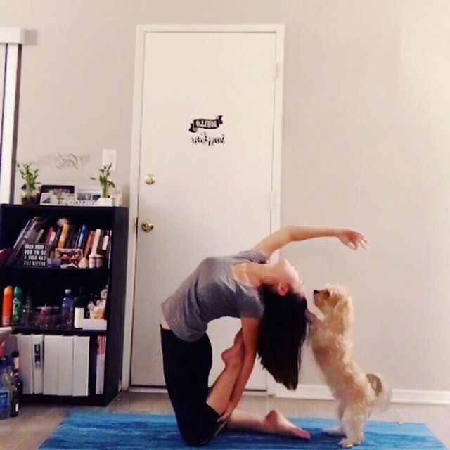 yoga with Chopper